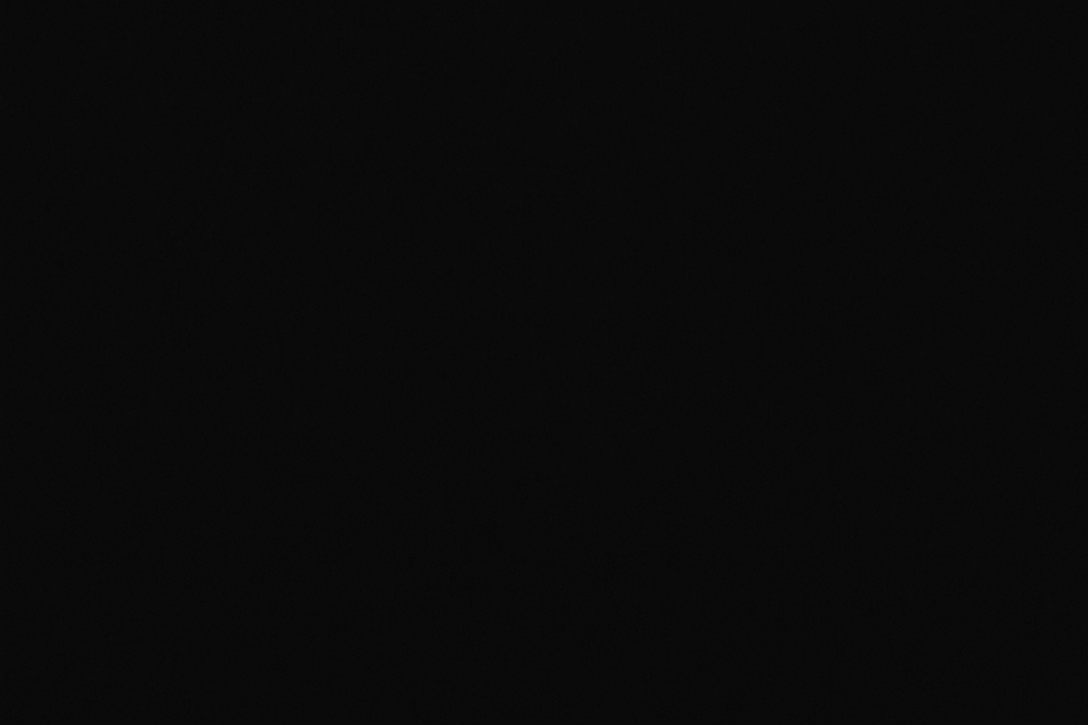 BLACK SCREEN